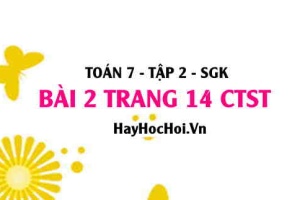 Bài 2 trang 14 Toán 7 Tập 2 Chân trời sáng tạo